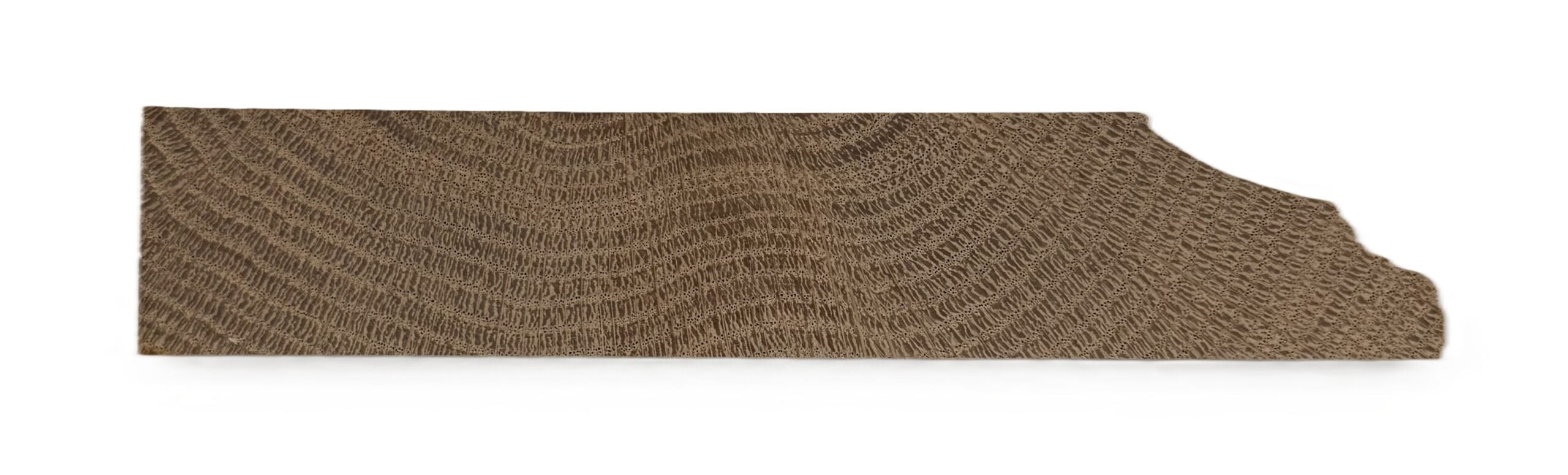25102 Baseboard
